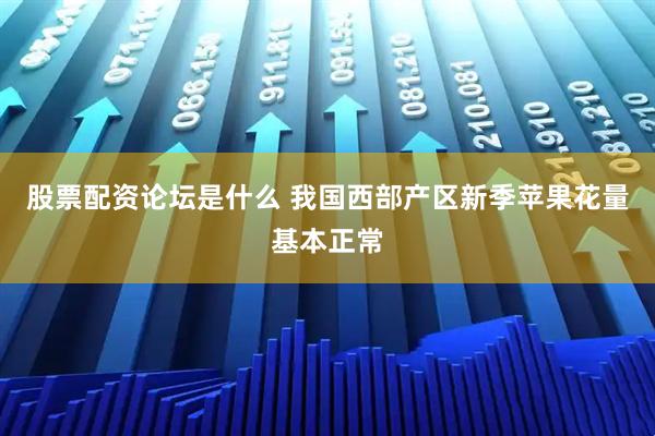 股票配资论坛是什么 我国西部产区新季苹果花量基本正常