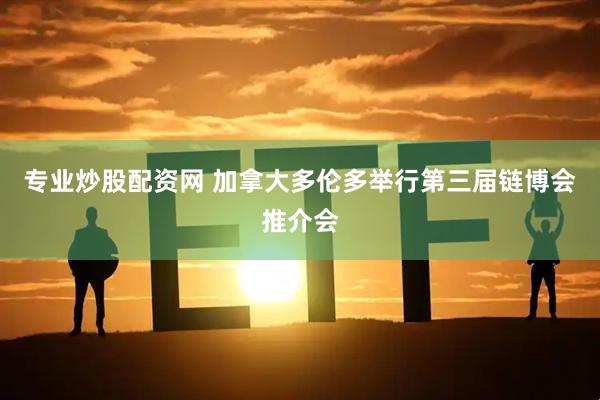 专业炒股配资网 加拿大多伦多举行第三届链博会推介会