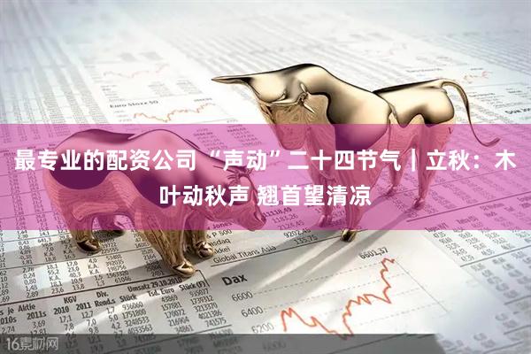 最专业的配资公司 “声动”二十四节气｜立秋：木叶动秋声 翘首望清凉